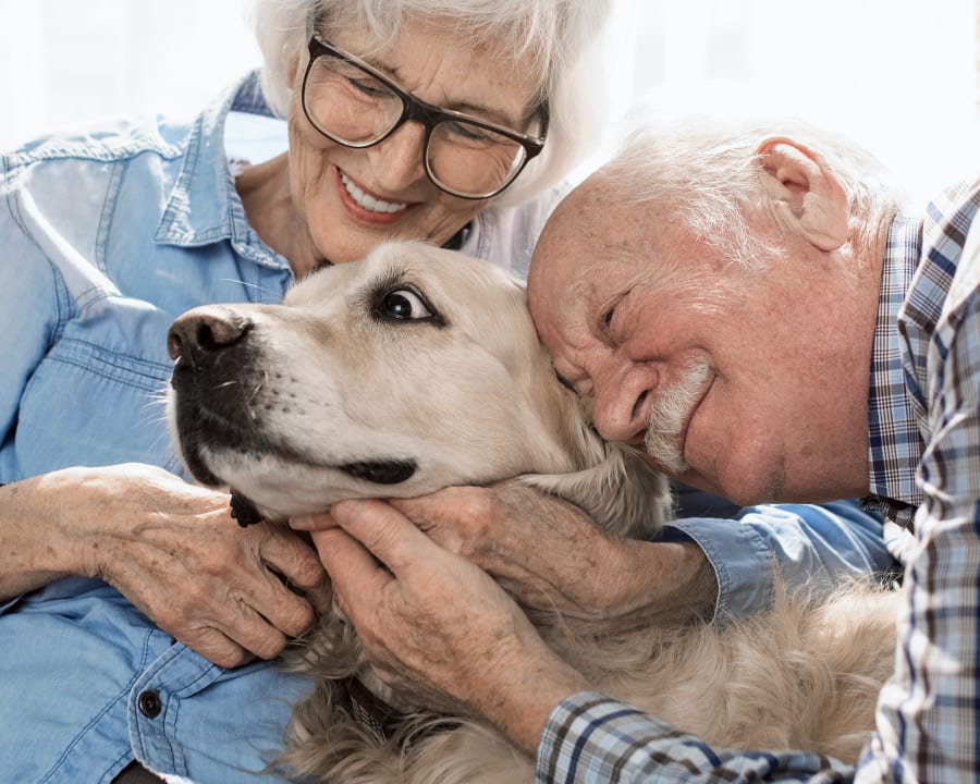 Geriatric Care for Pets, Parry Sound